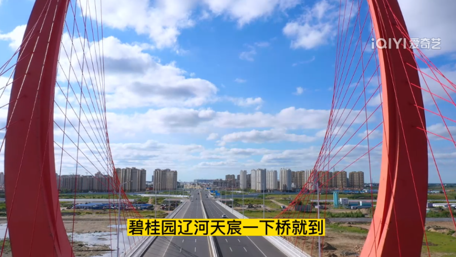 碧桂园打卡视频