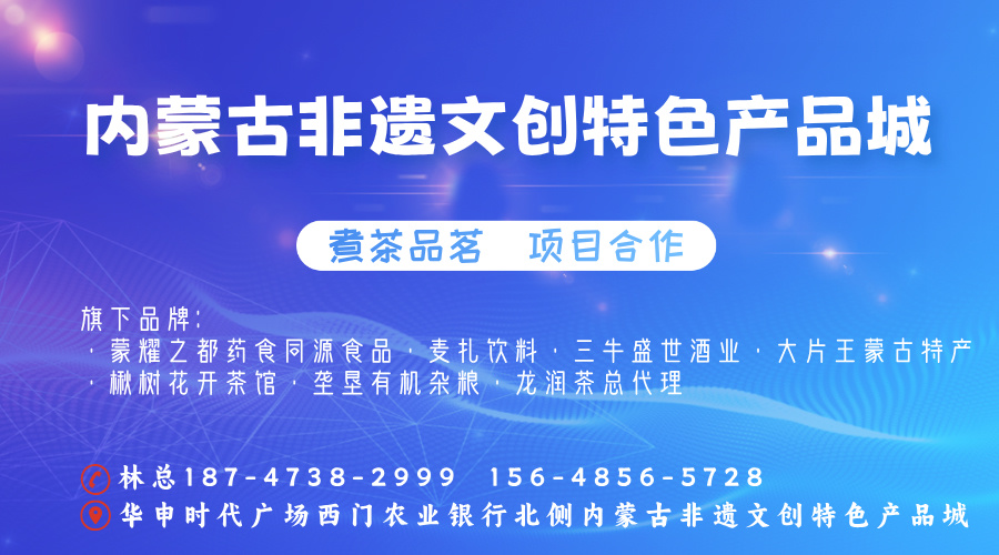 内蒙古非遗文创产品城广告-414升级